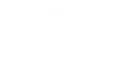 The Standard Aesthetics
